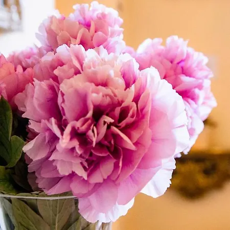 Il Palagetto Bed & Breakfast 3*