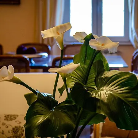 Bed & Breakfast Il Palagetto Florencie